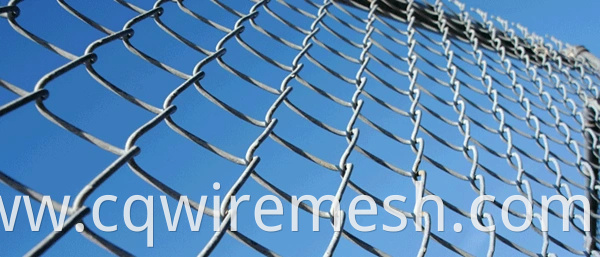 High Quality 50mm Diamond Hole Wire Fencing Mesh (WFM)